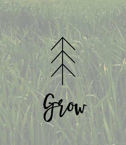 Roots Community Church: Grow