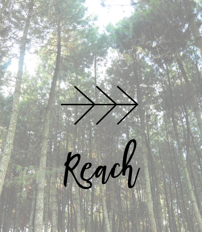 Roots Community Church: Reach